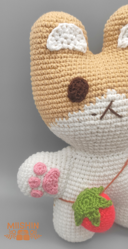 TEOLAEGI Baekhyun Amigurumi Crochet Pattern - Archivo PDF - Español e Inglés