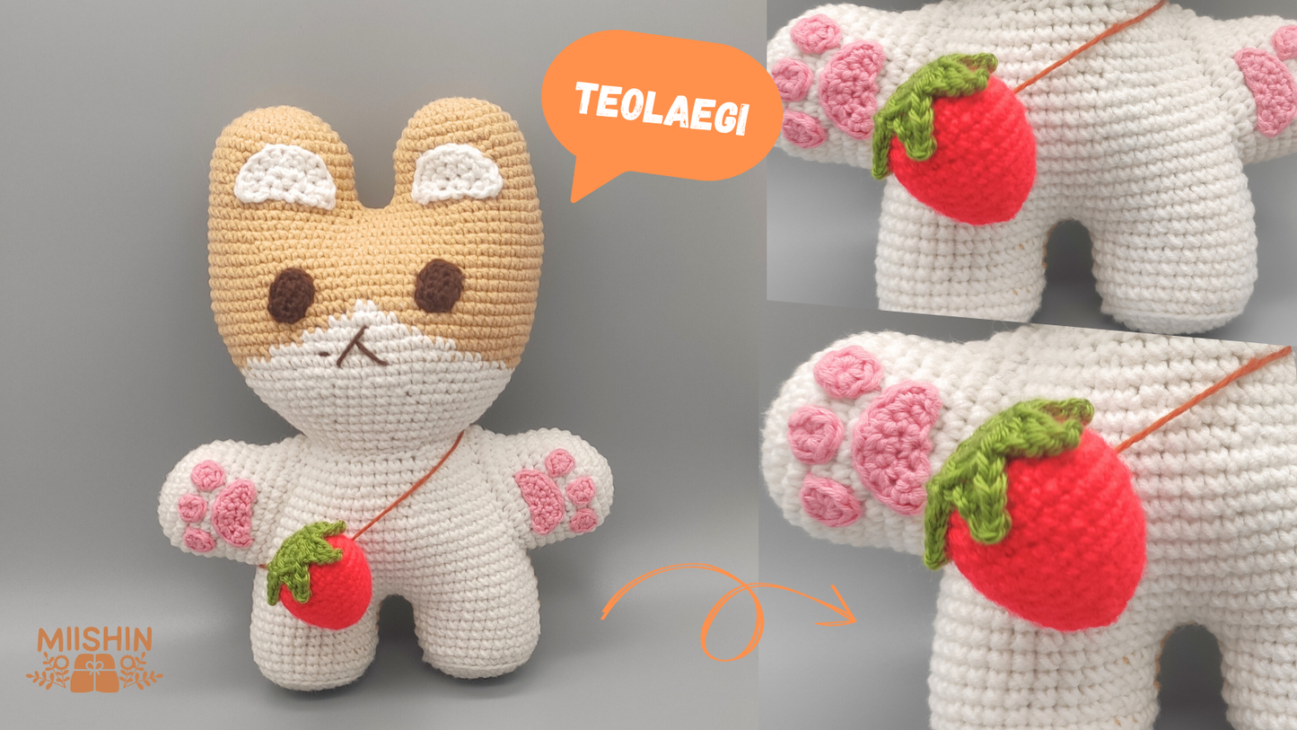 TEOLAEGI Baekhyun Amigurumi Crochet Pattern - Archivo PDF - Español e Inglés